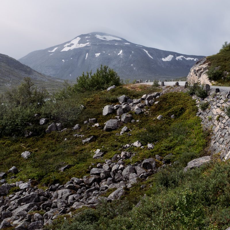 Dit beeld is gemaakt langs een verlaten bergweg in Noorwegen, waar mens en landschap elkaar niet overheersen, maar naast elkaar bestaan. De stenen muurtjes en de smalle weg volgen het reliëf van het land, terwijl de bergen op de achtergrond onverstoorbaar hun eigen tempo bepalen. Het diffuse licht en het ingetogen kleurenpalet versterken de rust van het moment. Geen dramatische lucht of grootse beweging, maar een stille aanwezigheid waarin structuur, textuur en ruimte samenkomen. De blik wordt langzaam door het landschap geleid, zonder haast en zonder een eindpunt dat zich opdringt. Juist die terughoudendheid geeft het beeld zijn kracht. Het landschap toont zich zoals het is: robuust, gelaagd en tijdloos. In print nodigt de foto uit tot kijken op verschillende afstanden, waarbij steeds nieuwe details zichtbaar worden zonder de rust te verstoren. Deze foto is een ode aan beheersing en eenvoud. Aan plekken die niets willen bewijzen, maar juist daardoor blijven hangen.