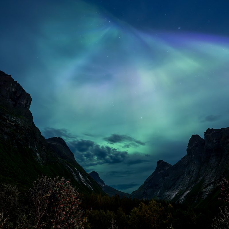 Op een zeldzaam heldere augustusnacht verscheen het noorderlicht boven de iconische bergweg Trollstigen in Noorwegen. Na dagen van regen brak de lucht plots open en kleurde de hemel groen en zacht paars, precies op het moment dat een krachtige zonnevlam de aarde bereikte. De Trollstigen slingert zich hier door een diep dal, omringd door steile bergwanden die in het nachtlicht massief en bijna mythisch aanvoelen. Het noorderlicht lijkt zich vast te haken aan de bergtoppen, alsof het landschap zelf meebeweegt. Volgens de Noorse mythologie wonen hier trollen, en in deze omstandigheden is het niet moeilijk te begrijpen waar die verhalen vandaan komen. Dit beeld vangt de stilte van het hoge noorden: rauw, groots en onaangetast. De combinatie van het dansende licht, de donkere bergen en de beroemde bergweg maakt het werk krachtig maar ook ingetogen. Een fotografisch moment dat uitnodigt om langer te kijken en telkens nieuwe details te ontdekken.