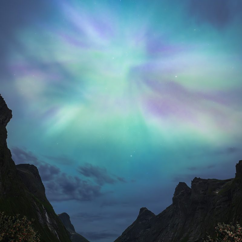 Op een zeldzaam heldere augustusnacht verscheen het noorderlicht boven de iconische bergweg Trollstigen in Noorwegen. Na dagen van regen brak de lucht plots open en kleurde de hemel groen en zacht paars, precies op het moment dat een krachtige zonnevlam de aarde bereikte. De Trollstigen slingert zich hier door een diep dal, omringd door steile bergwanden die in het nachtlicht massief en bijna mythisch aanvoelen. Het noorderlicht lijkt zich vast te haken aan de bergtoppen, alsof het landschap zelf meebeweegt. Volgens de Noorse mythologie wonen hier trollen, en in deze omstandigheden is het niet moeilijk te begrijpen waar die verhalen vandaan komen. Dit beeld vangt de stilte van het hoge noorden: rauw, groots en onaangetast. De combinatie van het dansende licht, de donkere bergen en de beroemde bergweg maakt het werk krachtig maar ook ingetogen. Een fotografisch moment dat uitnodigt om langer te kijken en telkens nieuwe details te ontdekken.