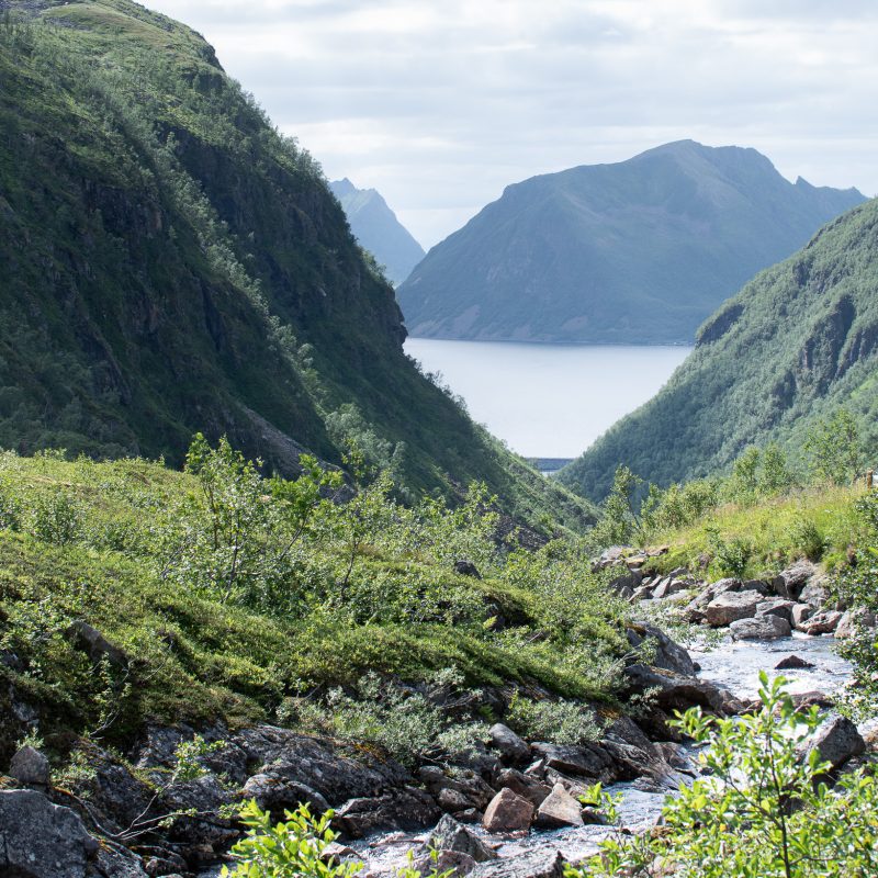 Vanuit een hoog standpunt ontvouwt zich een groen bergdal waarin rust en beweging samenkomen. De voorgrond, met rotsen en laag stromend water, vormt het anker van het beeld en nodigt de kijker uit om het landschap binnen te stappen. Vanuit daar leidt het oog langs het dal richting het water en de bergen in de verte. Het licht is helder maar beheerst, zoals op een kalme zomerdag in de bergen. Zachte schaduwen en subtiele contrasten zorgen voor diepte zonder het landschap te dramatiseren. De achtergrond blijft bewust ingetogen, waardoor het geheel een natuurlijke gelaagdheid krijgt en de stilte voelbaar blijft. Deze foto draait niet om één spectaculair moment, maar om aanwezigheid: het gevoel van onderweg zijn, van kijken en blijven kijken. Een verstild landschap dat ruimte laat voor eigen interpretatie en past in interieurs waar rust, natuur en balans centraal staan.